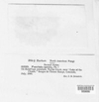 Image Associated With the Occurence